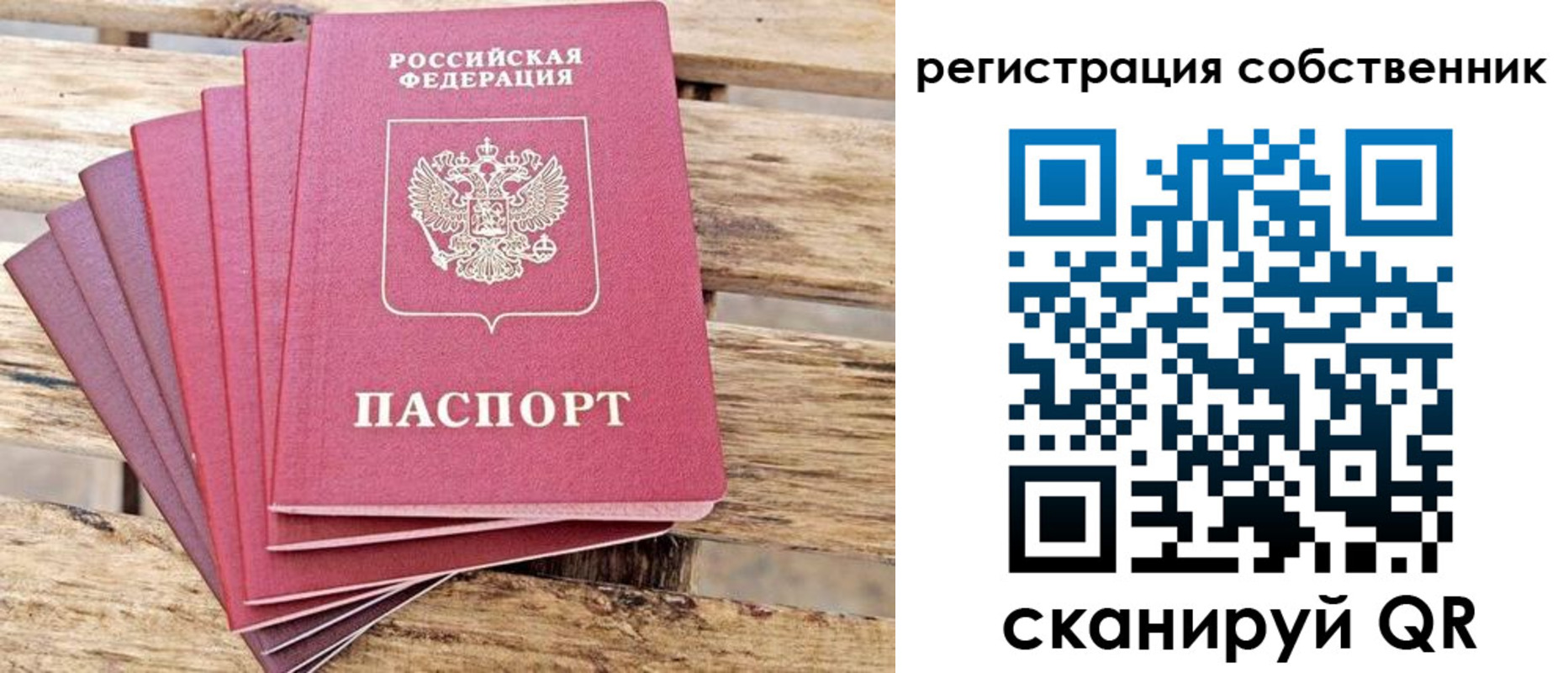 прописка регистрация в Камышине