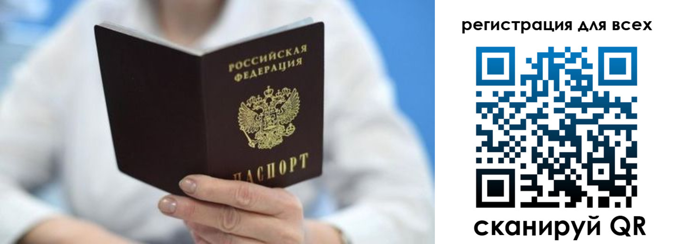 прописка гарантия в Камышине